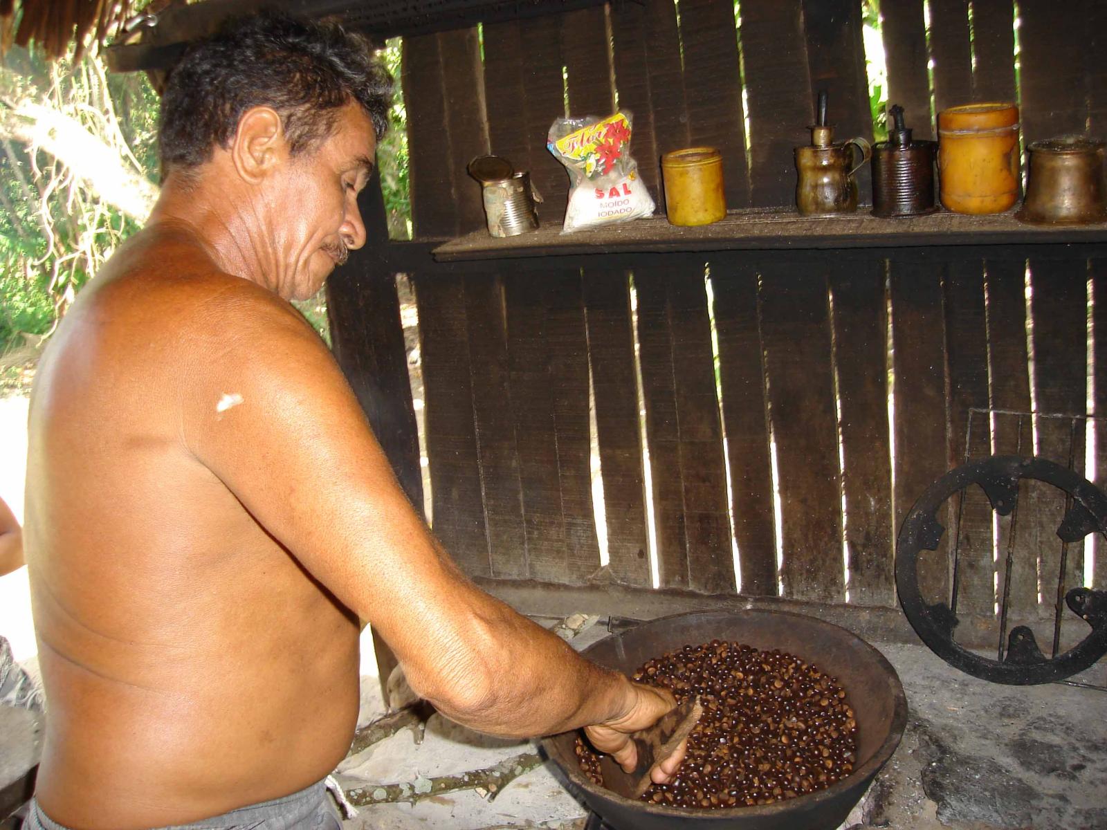 Um guaranazeiro à moda antiga