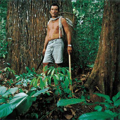 A beleza da natureza é fonte de vida