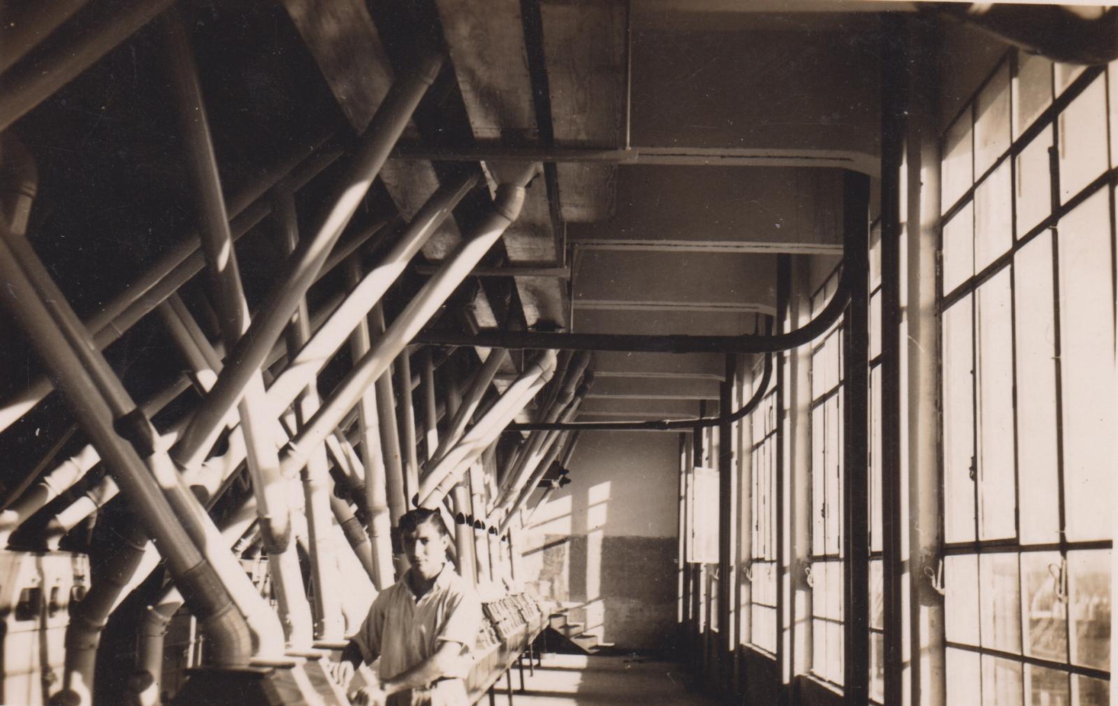 Seu Pepe: histórias da aventura Brasil