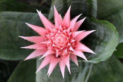 Minhas obras não foram para o museu, mas eu sim.