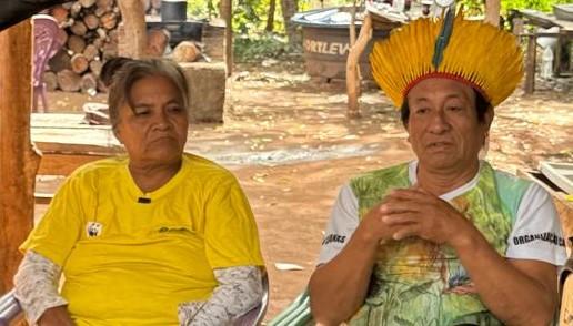 A nossa casa é a floresta