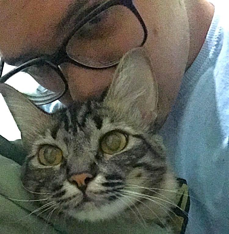 A tatuagem que virou encontro