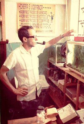 Uma educação independente das matérias