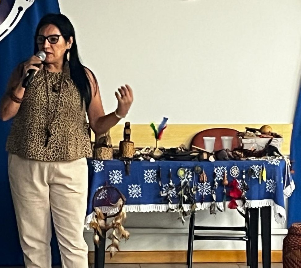 Capa de O território fala: vozes Guarani e Terena e a realidade indígena em Campo Mourão