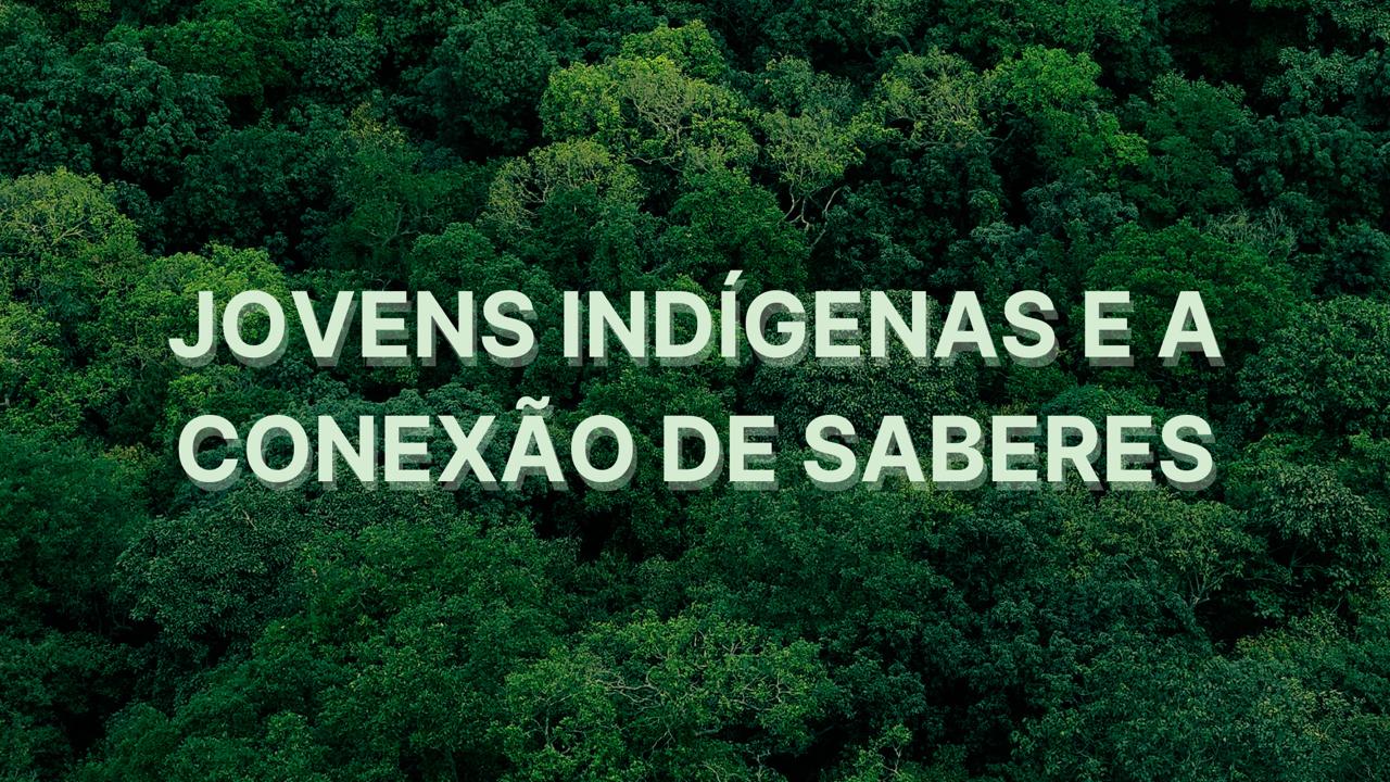 Capa de JOVENS INDÍGENAS E A CONEXÃO DE SABERES