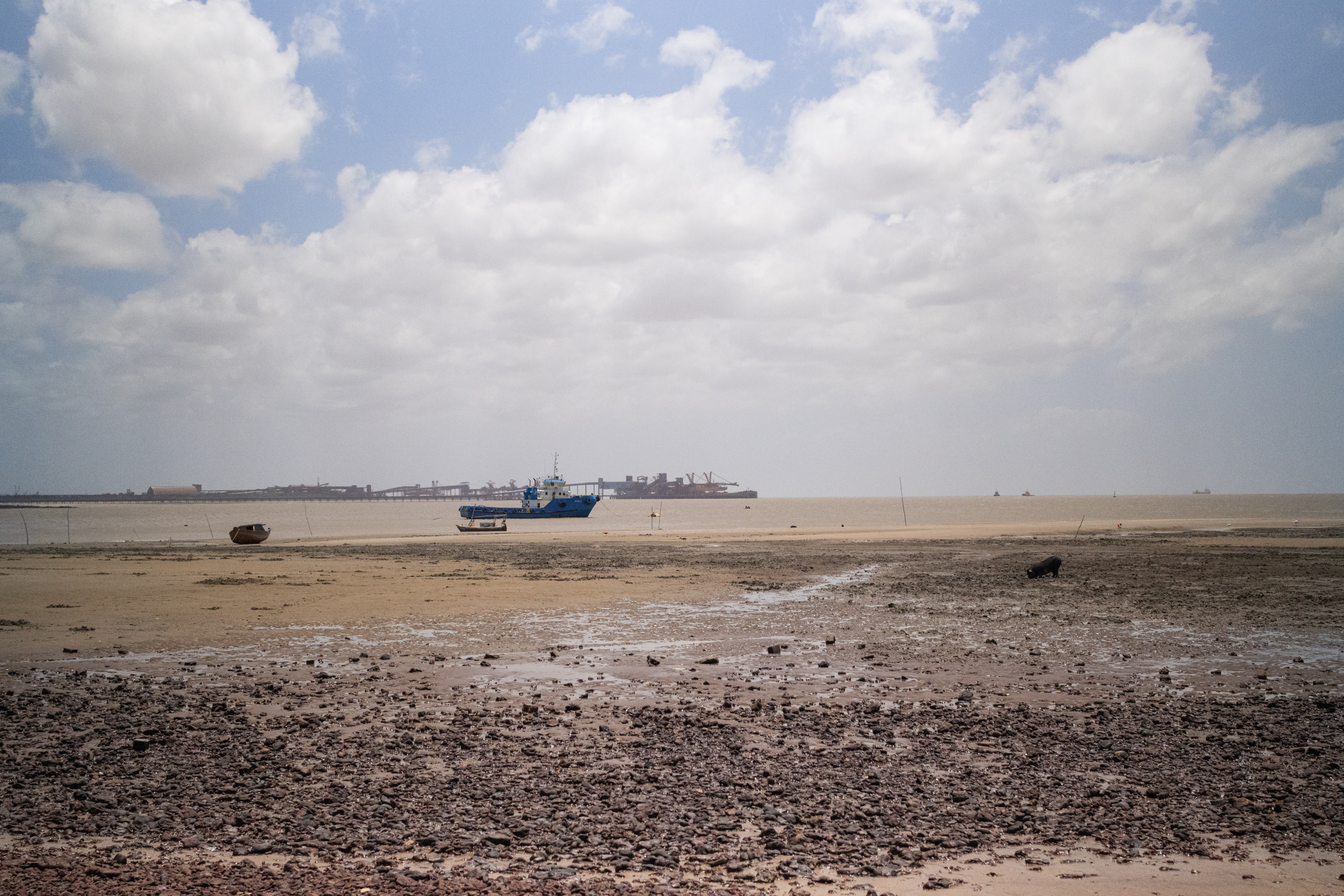 Estação de Memória: Porto & Pesca