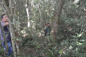 Grupo fazendo mapeamento dos tipos de árvores, na Terra Indígena Pinhalzinho, em Tomazina, no Paraná.