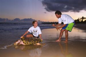 Projeto TAMAR<br>Brasil / Bahia / Praia Do Forte