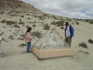 José Truda com a filha Lara observando fósseis de cetáceos no Parque Paleontológico Bryn Gwyn, na região da Patagônia.