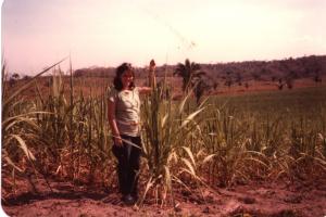 Estela no Maranhão<br>Brasil / Maranhão / Tuntum