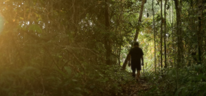 A história de vida de Manoel Gomes Ferreira: Natureza viva como o ...