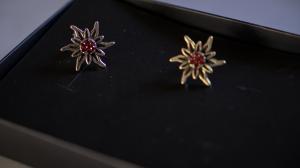 Brincos que compõe o traje Miesbach, com o qual Nínive dança no grupo Bergfreunde do Campinho.  O formato do brinco remete à flor de Edelweiss.