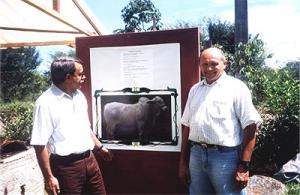Vicente Bernardes e José Soares ao lado do painel comemorativo da festa de despedida de Bernardes que deixou o cargo para assumir a Gerência Geral de Itabira.