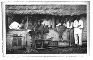 historia: Tirada pelo senhor Zucha em sua viagem ao interior do Brasil. Foto tirada no caminho. Pararam para comer e inclusive comeram tatú. Na volta passaram pelo Rio São Lourezo, estavam à procura de base de área de matéria-prima. No caminho perdemos um italiano que fazia pesquisa. Tinha acampado para pernoitar. O italiano resolveu sair para carregar outros livros e nunca mais foi encontrado.