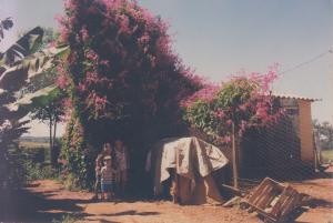 Chácara no bairro Primavera<br>Brasil / Minas Gerais / Paracatu