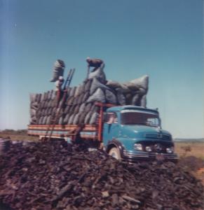 Na zona rural<br>Brasil / Goiás / Cabeceiras