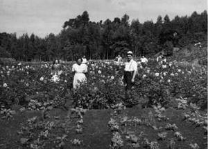 Descanso entre as flores<br>Brasil / São Paulo / São Paulo