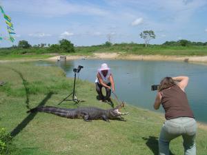Dona Maria encantadora de jacaré. Márcia fotografou Dona Maria durante o projeto de 200 anos do Branco do Brasil.