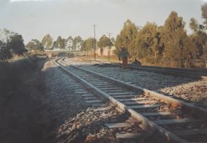 Trilhos de trem congelados