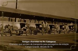 Charretes como meio de locomoção
