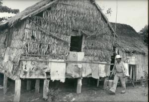 Borrifação com DDT<br>Brasil / Acre / Rio Branco