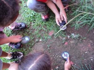 INVESTIGANDO O TERRENO COM LUPAS