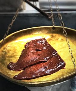 José, empreendendo aos 83 anos