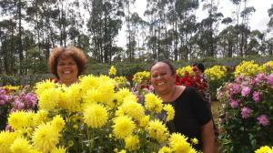 Marlucia é sua melhor amiga Ivete, aproveitando uma de suas muitas viagens em Suzano SP, Festival das Dálias em 2019. Marlucia adora flores e plantas principalmente orquídeas.