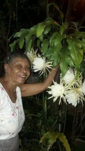 Dona Dide em sua casa apreciando suas flores dama da noite.