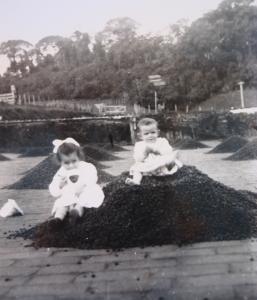 Eunice Ribeiro do Valle, mãe de João, e sua tia Ester Ribeiro do Vale, ainda crianças, registradas em um momento de infância sobre uma pilha de café recém-colhido. A imagem revela não apenas o cotidiano rural da época, mas também a presença das meninas na dinâmica familiar da colheita, marcando a memória afetiva de uma geração que cresceu entre os grãos e os ciclos da terra.