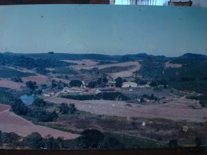 Vista panorâmica da fazenda no início dos anos 1990, eternizada em um quadro. A imagem marca o período em que João iniciava uma transição corajosa: abandonando o uso de inseticidas, em busca de um cultivo mais natural. Um gesto pioneiro que contrariava as práticas convencionais da época.