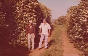 A fotografia registra um momento de acompanhamento da florada do café na Fazenda Santo Antônio da Água Limpa. Em meio à paisagem rural, João Pereira Lima Neto aparece ao lado do administrador da fazenda, Antônio Ferreira de Souza. Ambos observam atentamente o cafezal, em um gesto que revela cuidado, trabalho compartilhado e a importância da agricultura do café na região.