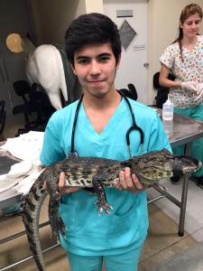 Ian se descobriu na veterinária! Eu sempre achei que ele fosse para a área de publicidade, até que ele começou a se interessar mais pela biologia! Foto tirada na Universidade Anhembi Morumbi.