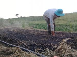 O gosto por trabalhar na terra sempre esteve presente, principalmente quando via o entusiasmo dos meus avós no cuidado com ela e o empenho de dar o melhor para seus filhos. Por não ter condições de ter meu pedaço de terra é que entrei no movimento social, e através da luta, dentro do MST, que conquistei um pedaço de chão para continuar a vida de agricultor, herança deixada por meus avós.