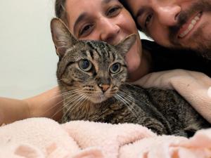 Em fevereiro de 2025, na última internação de Olga. Já diagnosticada com doença renal crônica, ela sofreu um agravamento grave após receber um medicamento ao qual era completamente intolerante. Sangue, dor, medo. Milena revive o trauma da perda de Ramon e acredita que chegou o fim. Quatro dias depois, Olga retorna. A foto mostra a gata ainda marcada pelos procedimentos, com resíduos brancos do tratamento e envolta em um cobertor rosa. Está alegre. Viva. O lugar que a acolheu soube esperar o tempo dela. O Tylenol nunca mais voltou. Olga também não foi embora.