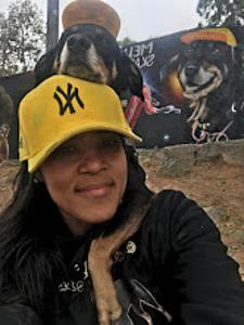 Rafaela registrou uma foto especial na pista de skate da Freguesia do Ó, localizada na Avenida Miguel Conejo. O motivo era único: um grafite feito pelo artista local Digão Comprimido, em parceria com a prefeitura, como homenagem à cachorra Mel. Desde 2019, Mel havia se tornado conhecida por suas habilidades no skate, atraindo a atenção de skatistas renomados e até de mídias televisivas. O grafite eternizou essa trajetória, transformando em arte a história de uma cachorra que, ao lado de Rafaela, conquistou espaço e reconhecimento. Para Rafaela, o registro não foi apenas uma foto, mas a celebração de um sonho que nasceu nas ruas da Brasilândia e ganhou cor e forma no coração da cidade.