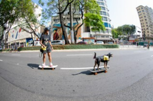 A imagem registra a participação de Rafaela e sua cachorra Mel em uma corrida de skate no centro de São Paulo, considerada a maior do Brasil. Embora Mel não tenha percorrido os 5 km sobre o skate, pôde caminhar livremente pelas ruas e calçadas interditadas, aproveitando o momento histórico. O evento foi memorável: além da experiência única de ver sua cachorra circulando pelo centro da cidade, várias imagens de Mel se espalharam pelo país, chamando a atenção da comunidade do skate e rendendo reconhecimento ao final da prova.