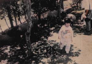 A fotografia foi feita no Parque La Venezuela de Antier e mostra Oriana caminhando livremente entre as árvores. Ela se lembra do riacho que atravessava o parque, onde gostava de colocar a mão para sentir a água fria correr entre os dedos. O som da correnteza chamava sua atenção e permanece vivo em sua memória, ainda hoje apreciado.