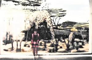 A fotografia mostra Oriana no Museo de Ciencias Naturales, em Caracas, em frente à imagem de girafas, parte das muitas coleções de animais exibidas no museu. Ela recorda com alegria o quanto adorou aquele lugar e como sempre gostou de admirar essa exposição em particular. A relação e interesse pelo reino animal ali presentes se conectam com sua futura escolha profissional como veterinária, lembrança que permanece viva na sua memória.