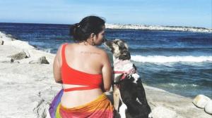 Uma Estrada Compartilhada