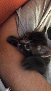 Esta é a primeira fotografia de Mia. Daniel a faz no momento em que vai buscá-la na casa de sua tia, ainda antes da adoção se concretizar. A imagem nasce com a intenção simples de ser enviada à irmã, como uma brincadeira anunciando que a levaria embora. No entanto, o registro se transforma em marco inicial de uma história compartilhada, capturando o instante em que a decisão começa a tomar forma e o vínculo ainda é promessa.