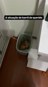 Luke se esconde em meio ao espaço da casa, transformando o ambiente em cenário de brincadeira. O gesto é parte de um jogo cotidiano, feito para provocar sustos e risadas, revelando uma relação construída também pelo humor e pela troca lúdica. A imagem registra o lado brincalhão da convivência.