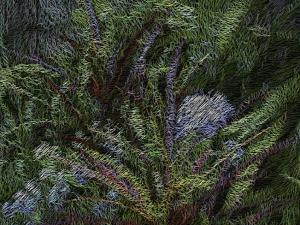 “Muito Além do Jardim”, uma das primeiras fotos digitais editadas em computação gráfica da história da fotografia. Foto de 1994. Não havia fotografia digital no Brasil ainda. Fui um pioneiro nesta tecnologia. Uma foto como esta necessitava de 3 disquetes para ser armazenada. Não existia ainda o Photoshop. Utilizei um programa que foi a pré-história de edição, o Photo Studio da Ricoh.