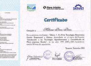 Certificado do curso de Tecnologias Alimentares e Gênero nos anos de 1999, 2000 e 2001