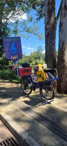 Uma bicicleta adaptada como biblioteca comunitária itinerante, conhecida como Bicicloteca, estaciona sob a sombra de grandes árvores durante uma ação do Coletivo Imargem. Equipada com caixotes coloridos repletos de livros infantis e literários, além de uma bandeira roxa de identificação do coletivo, ela transforma o espaço público em um ponto de leitura ao ar livre para aproximar a literatura e a cultura da comunidade local.