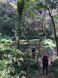 Lago da Aldeia Itakupé, localizado no distrito do Jaraguá - SP. A foto é um marco imponente para a vida de Adriano, sendo seu maior trabalho de permacultura feito na atualidade, tendo cuidado contínuo tanto por ele quanto pelos indígenas.