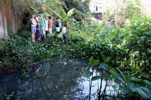 Lago urbano no Iquirrim formado por uma nascente do Córrego Iquiririm, construído em parceria com o coletivo Rios e Ruas e a comunidade local.