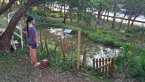 Trabalho de permacultura realizado na Praça da Vila Guarani, no Jabaquara - SP, junto com a comunidade local.