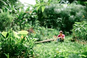 Cláudia Visoni trabalhando na manutenção diária da Horta das Corujas, espaço de agricultura urbana que ela ajudou a criar em 2012 na cidade de São Paulo.