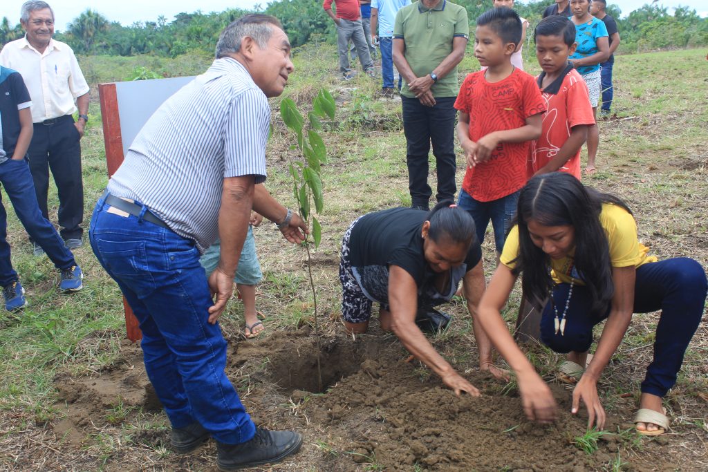 Plantando mudas da Floresta das Histórias